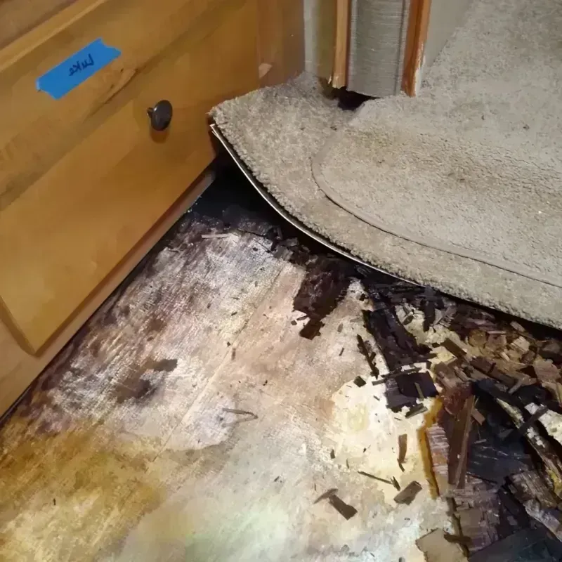 Best Wood Floor Water Damage Service in Grand Island, NE